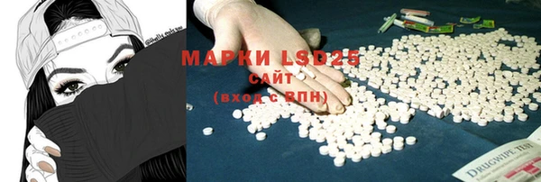 PSILOCYBIN Белокуриха