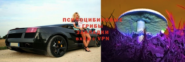 PSILOCYBIN Белокуриха