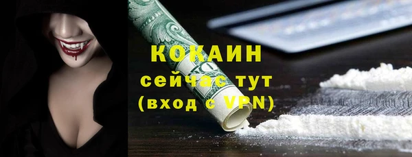 PSILOCYBIN Белокуриха