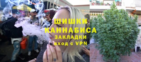 PSILOCYBIN Белокуриха
