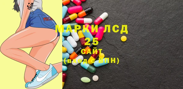 PSILOCYBIN Белокуриха