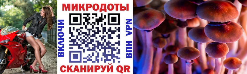 Купить где  Кулебаки  Галлюциногенные грибы MAGIC MUSHROOMS 